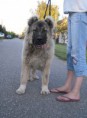 /album/kepgaleria-ivan/ivan-7-jpg/